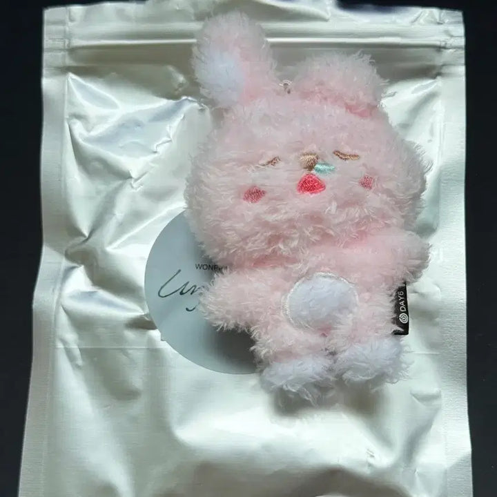 [BUNJANG] DAY6 Wonpil Unfiltered Secret Doll Keychain Kkulkkulpil / 데이식스 원필 언필터드 시크릿 인형 키링 쿨쿨필 솔콘 md