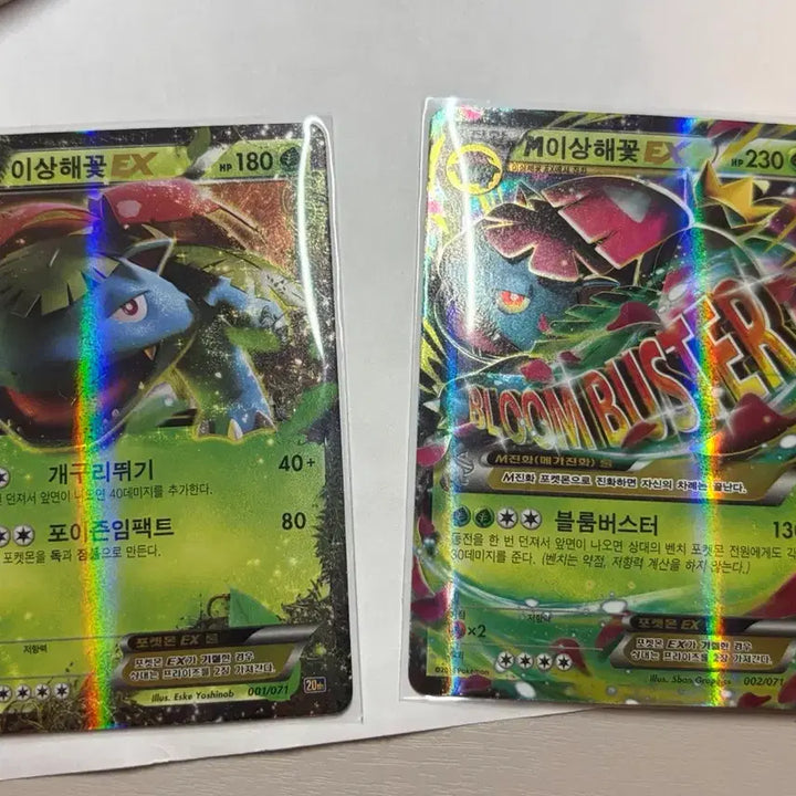 [BUNJANG] Pokemon 20th Anniversary Trainer Box - Venusaur, Mega Venusaur EX / 포켓몬 카드 20주년 트레이너박스 이상해꽃, 메가 이상해꽃 ex