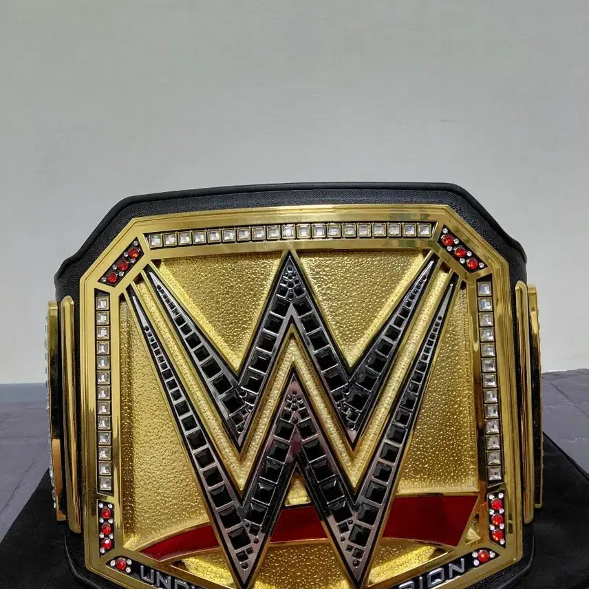 [BUNJANG] WWE Championship Acrylic Belt / WWE 챔피언쉽 아크릴벨트