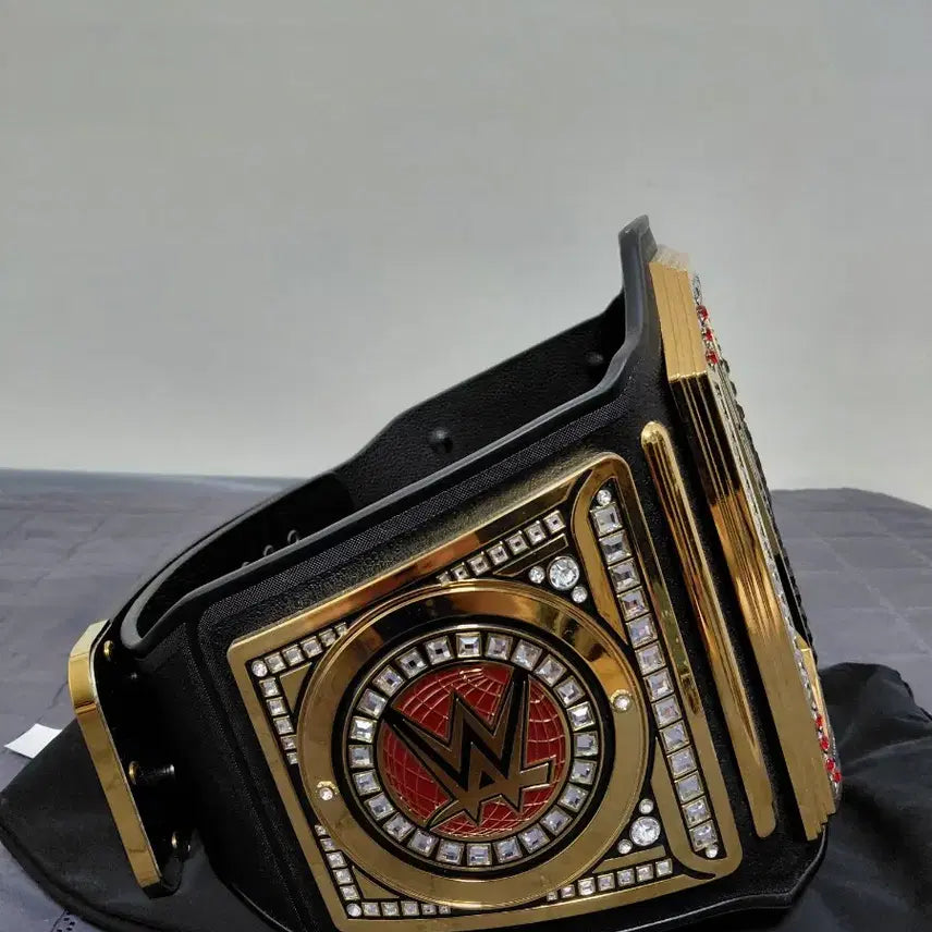 [BUNJANG] WWE Championship Acrylic Belt / WWE 챔피언쉽 아크릴벨트