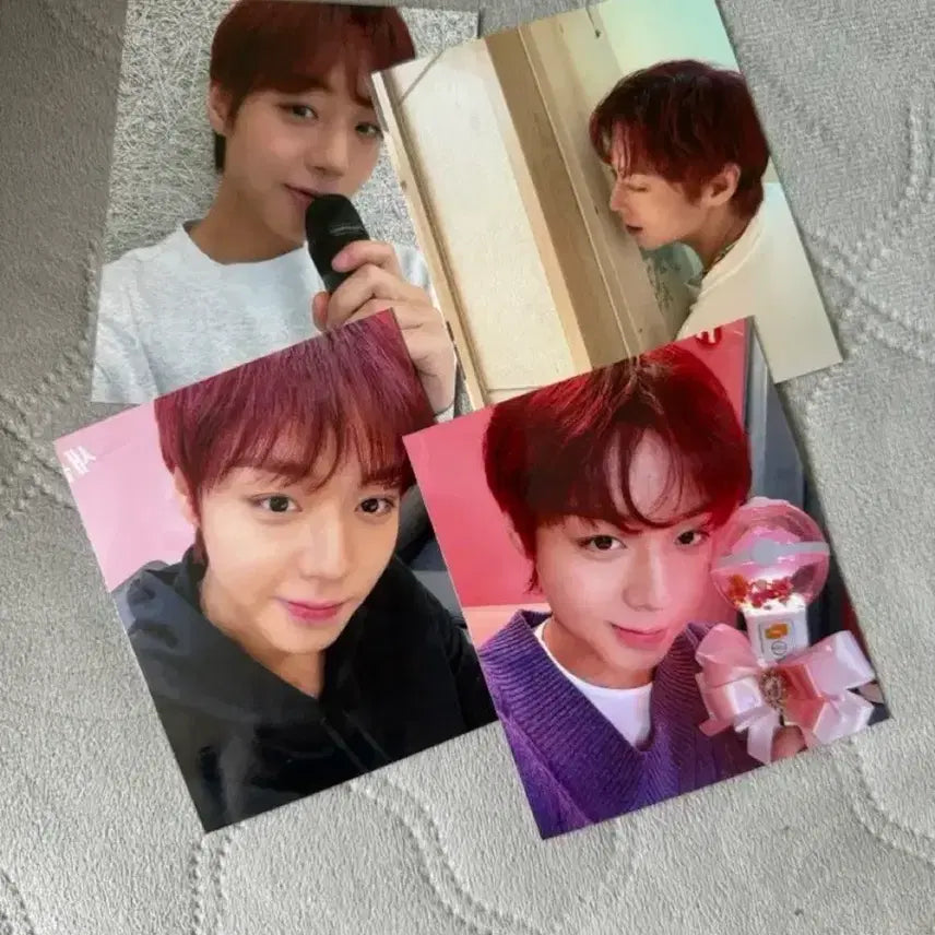 [BUNJANG] Park Jihoon Photocard / 박지훈