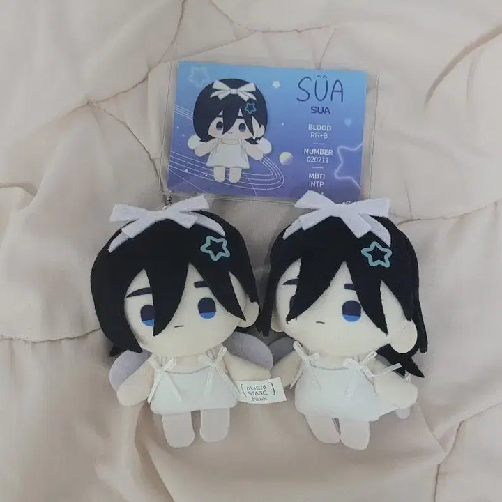 [BUNJANG] A STE Decorating Doll Sua Bundle Set / 에이스테 데코라 인형 수아 일괄 양도
