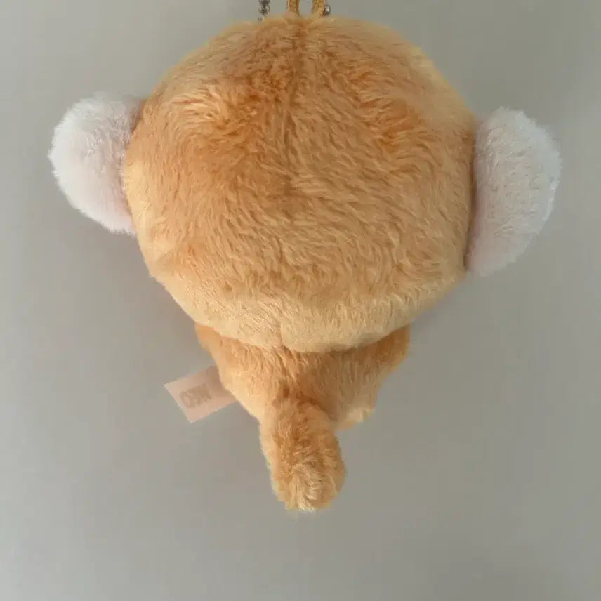 [BUNJANG] ALPHADRIVEONE Kim Gunwoo Doll Kim Gun-woo / 알디원 알파드라이브원 김건우 인형 김건숭 양도