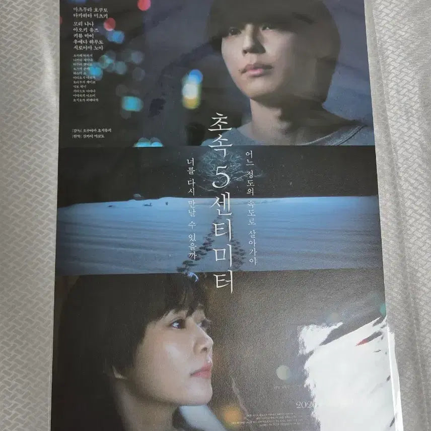 [BUNJANG] 5 Centimeters Per Second Movie Poster / 초속 5센티미터 포스터 실사