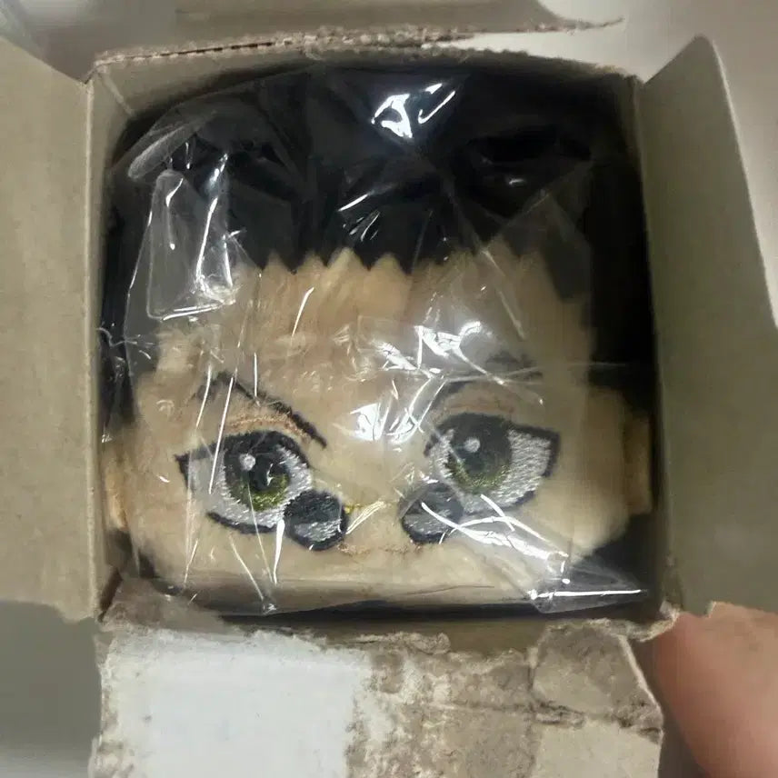 [BUNJANG] Hunter x Hunter Leorio Plush / 헌터헌터 레오리오 누이