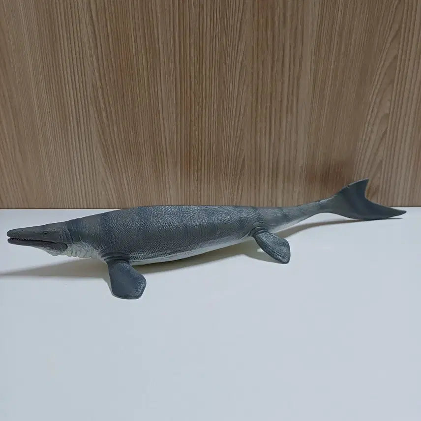 [BUNJANG] CollectA Mosasaurus Figure / 컬렉타 모사사우루스