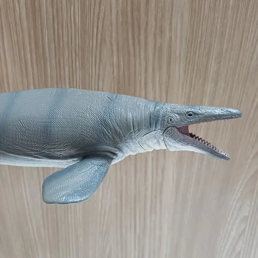 [BUNJANG] CollectA Mosasaurus Figure / 컬렉타 모사사우루스