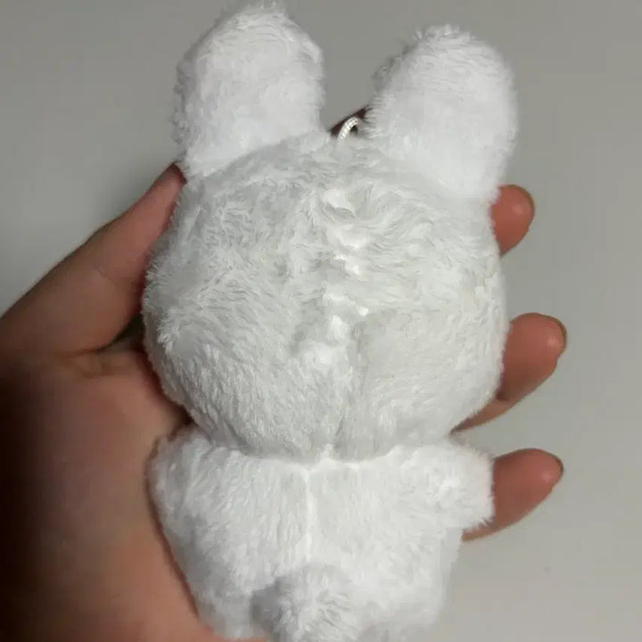 [BUNJANG] Kim Rae Bin Animal Doll (Debut or Die) / 데못죽 김래빈 속성 동물 인형 데뷔못하면죽는병걸림