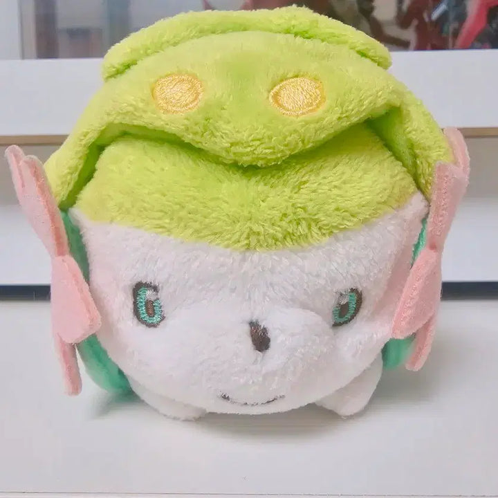 [BUNJANG] Pokemon Canvas Shaymin Plush / 포켓몬 캔버스 쉐이미 인형