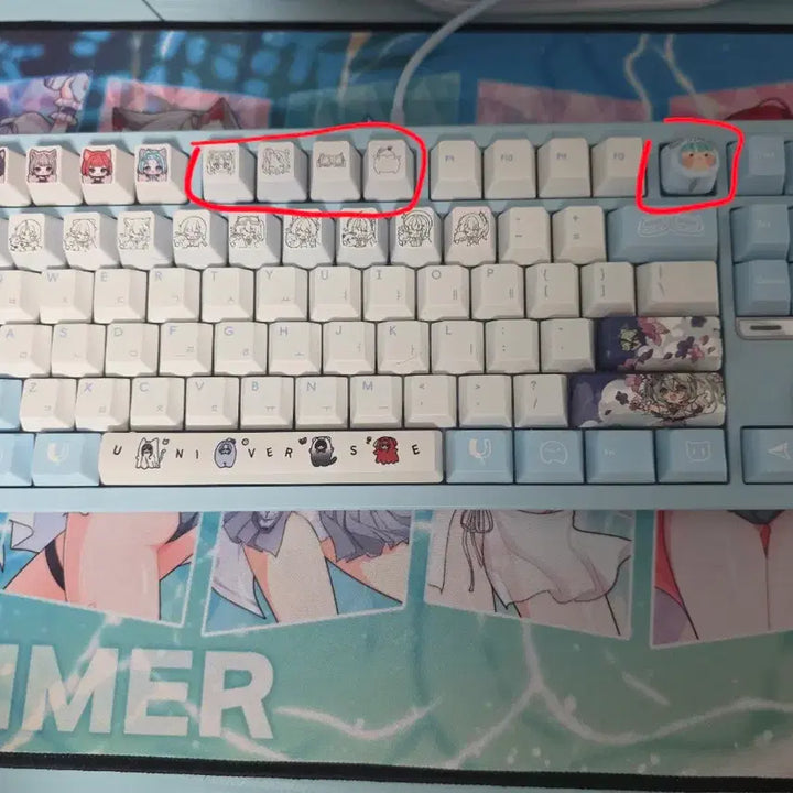 [BUNJANG] Taby Keyboard B Set / 타비 키보드 b세트
