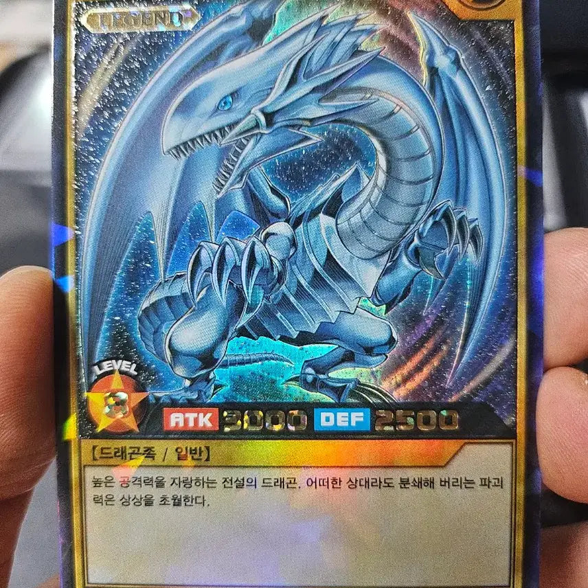 [BUNJANG] Yu-Gi-Oh! Rush Duel Blue-Eyes White Dragon Cards Bundle Set / 유희왕 러쉬듀얼 백룡 2장 일괄 판매합니다