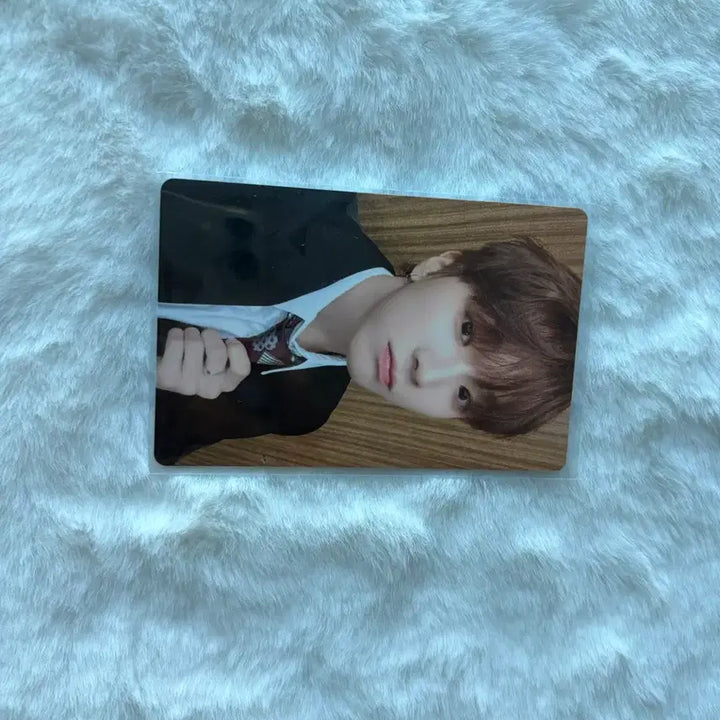 [BUNJANG] BOYNEXTDOOR HOW Yunhak Photocard / 보넥도 HOW 운학 포카