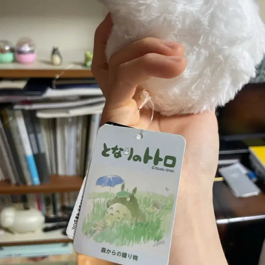 [BUNJANG] Studio Ghibli My Neighbor Totoro S-Totoro Plush / 지브리 토토로 소토토로 인형 (택 ㅇ)