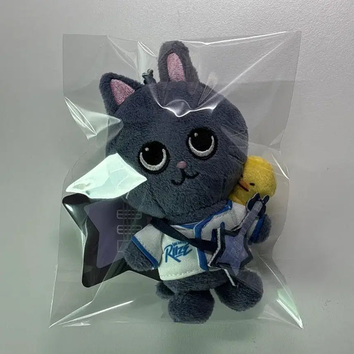 [BUNJANG] RIIZE Wonbin ToynDuck RIIZ Collection Keychain Plush / 라이즈 원빈 토냥덕 리라즈 키링 인형 양도