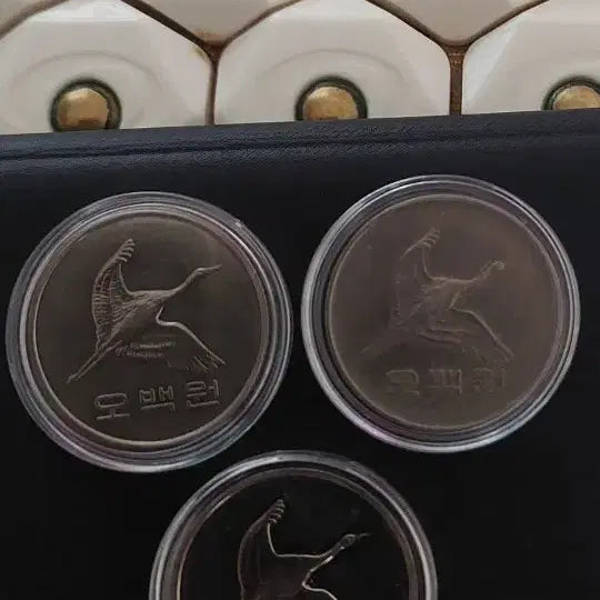 [BUNJANG] 1982, 2014, 2018 500 Won Coins Bundle (100 pcs) / 500원 동전 2018년 2014년 1982년