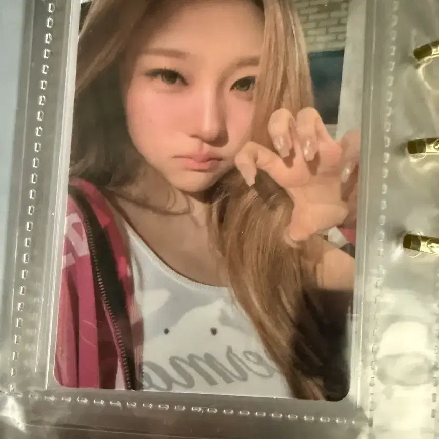 [BUNJANG] Hats to Hearts Stella Berries Rude Photocard / 하츠투하츠 스텔라 베리즈 루드 포토카드