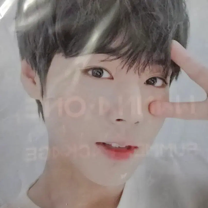 [BUNJANG] Park Ji Hoon Summer Package MD L-File Photobook Postcard Bundle Set / 박지훈 썸머 패키지 md 엽서 L자파일 포토북