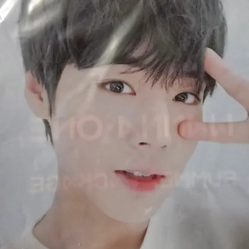[BUNJANG] Park Ji Hoon Summer Package MD L-File Photobook Postcard Bundle Set / 박지훈 썸머 패키지 md 엽서 L자파일 포토북