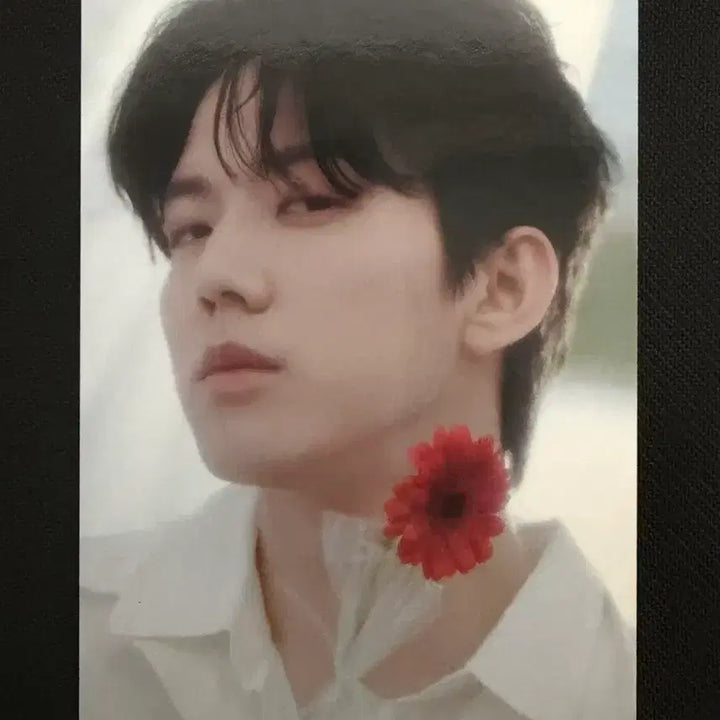 [BUNJANG] DAY6 Dowoon Pier 10 Trading Card / 데이식스 도운 피어텐 트레카