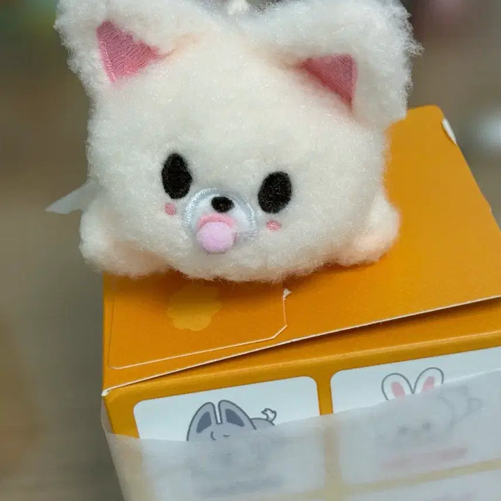 [BUNJANG] Skeju Foxy Wind-up Doll / 스키즈 스키주 폭시니 태엽인형 원가양도