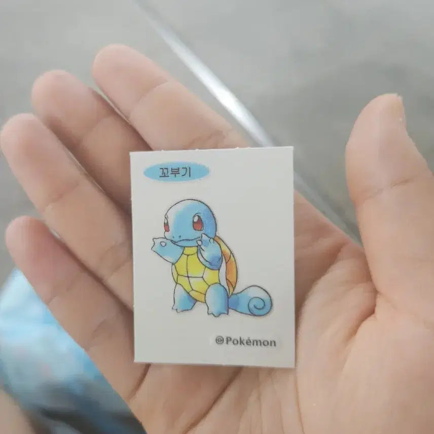 [BUNJANG] Gobbu Dibs Sticker / 꼬북이 띠부실 팔아요!