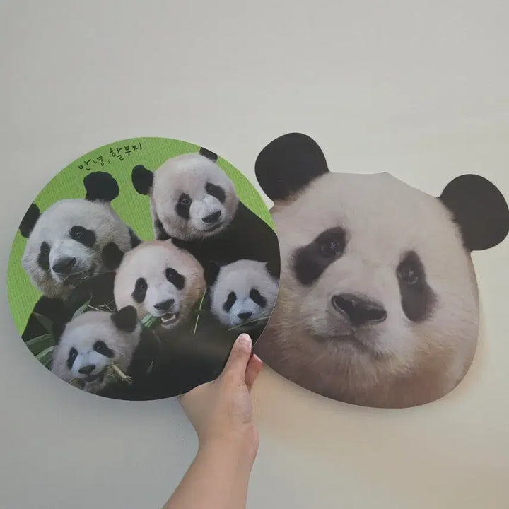 [BUNJANG] Annyeonghalbeoji Fu Bao Fan Bundle Set / 안녕할부지 푸바오 부채(일괄)