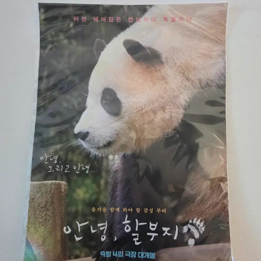 [BUNJANG] Annyeonghalboji Fu Bao Poster / 안녕할부지 푸바오 포스터