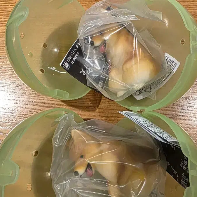 [BUNJANG] Bandai Shiba Inu Gachapon Mood Lamp / 반다이 시바견 가챠 무드등