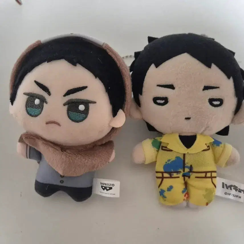 [BUNJANG] Haikyuu!! Fukurodani Akaashi Keiji Nuitoman Paint Bundle Set / (일괄) 하이큐 후쿠로다니 아카아시 케이지 누이 니토탄 페인트