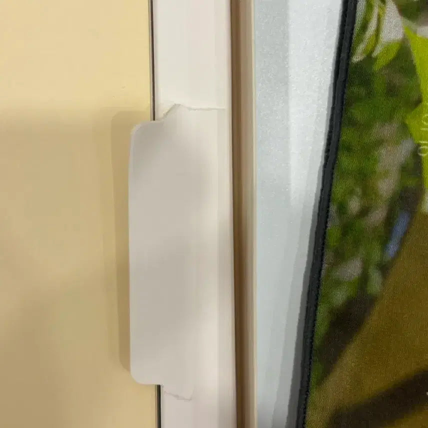 [BUNJANG] Day6 Sungjin Archive Photobook / 데이식스 성진 아카이브 포토북