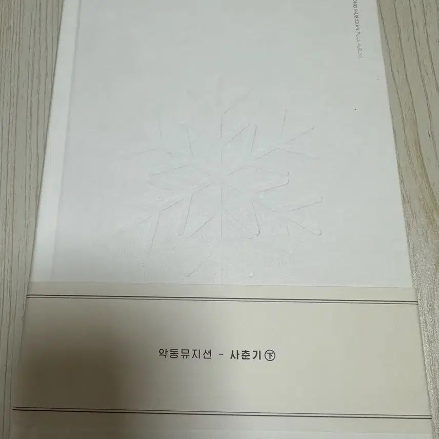 [BUNJANG] AKMU (Akdong Musician) SPRING UP Album / 악동뮤지션 사춘기 하 앨범