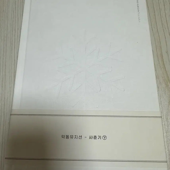 [BUNJANG] AKMU (Akdong Musician) SPRING UP Album / 악동뮤지션 사춘기 하 앨범