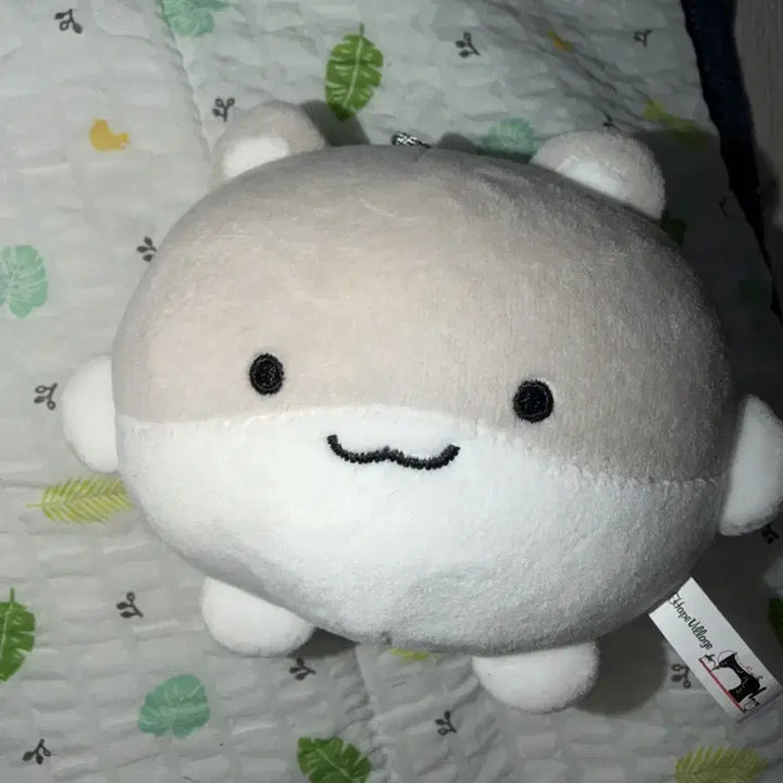 [BUNJANG] Kim Yunhak (Boy Next Door) Plush Doll / 운햄 보넥도 김운학 운학 인형 쁘넥도 운아기