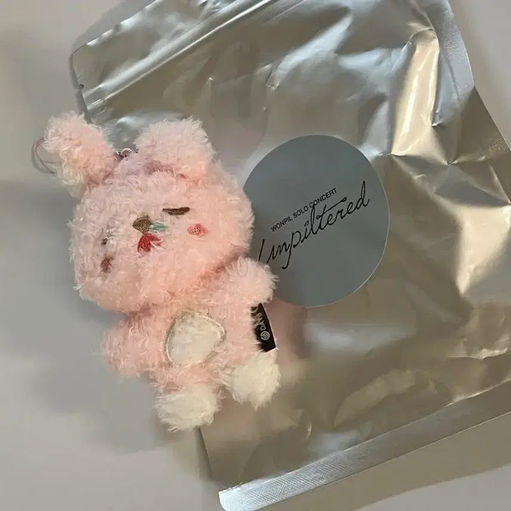 [BUNJANG] DAY6 Wonpil Unfiltered MD Secret Keyring / 데이식스 원필 솔로 언필터드 엠디 시크릿 키링 쿨쿨필