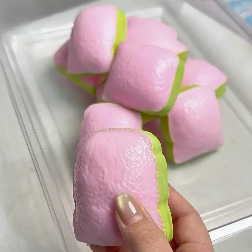 [BUNJANG] Guava Bread Crunch Slangi / 구아바 식빵 크런치 슬랑이 새상품
