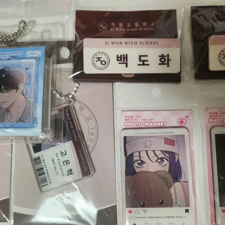 [BUNJANG] Operation Pure Love (작전명순정) Character Keychain, Name Tag, Magnet Set (Baek Dohwa, Shim Sunae, Go Eunhyuk) - Sealed / 작전명순정 백도화 심수애 고은혁 키링 명찰 마그넷 미개봉