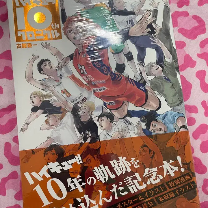 [BUNJANG] Haikyuu!! Bundle Set / 하이큐 굿즈 일괄