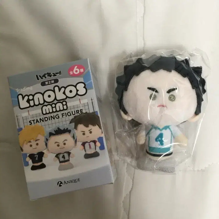 [BUNJANG] Haikyuu!! Kinokosumi Mini Iwaizumi Plush / (새상품) 하이큐 키노코스미니 이와이즈미