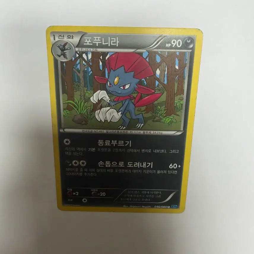 [BUNJANG] Pokemon Card Popunira / 포푸니라 포켓몬카드