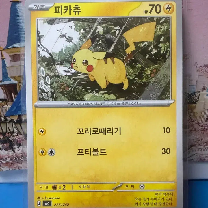 [BUNJANG] Pokemon Card Pikachu 100 Deck (B Grade) / 포켓몬카드 100덱 피카츄 B급