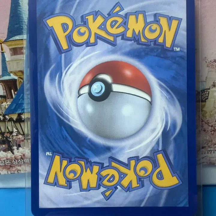 [BUNJANG] Pokemon Card Pikachu 100 Deck (B Grade) / 포켓몬카드 100덱 피카츄 B급