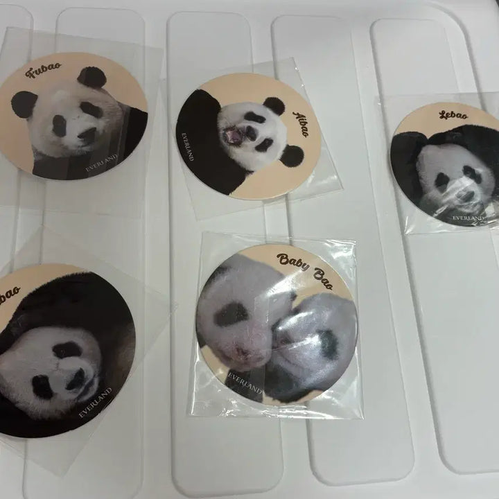 [BUNJANG] Fu Bao Bao Family Coaster Bundle Set / 푸바오 바오패밀리 코스터 일괄판매