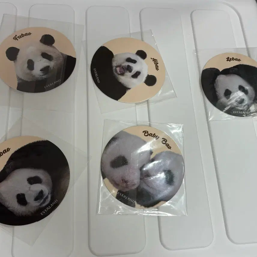 [BUNJANG] Fu Bao Bao Family Coaster Bundle Set / 푸바오 바오패밀리 코스터 일괄판매
