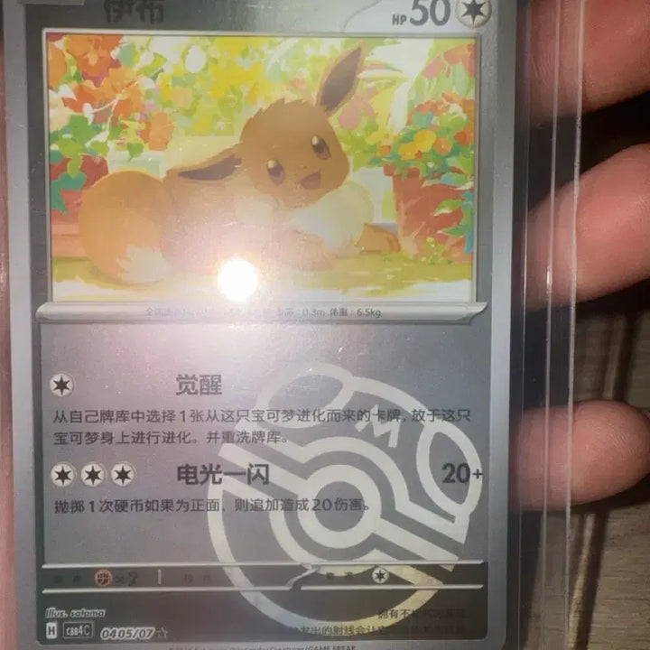 [BUNJANG] Eevie Master Ball Holo Reprints Pokémon Card (Graded) / 등급용)이브이 마스터볼 홀로 중판 포켓몬 카드