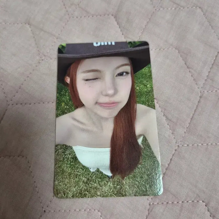 [BUNJANG] Hatuurha Ian Japan Tower Records HMv POB Lucky Draw Photocard / 하투하 이안 일본 타워레코드 hmv 특전 포카 양도 레몬탱 럭드 미공포