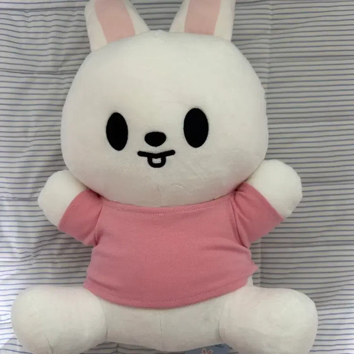[BUNJANG] Stray Kids Leebit Plush Doll / 급처) 스트레이키즈 스키즈 스키주 리빗 나안아 인형 양도
