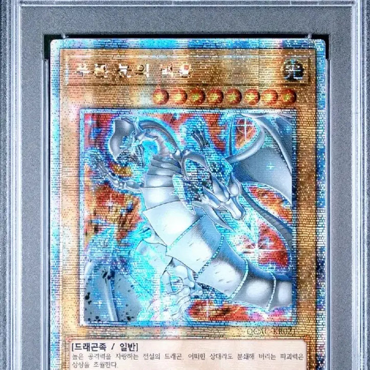 [BUNJANG] Yu-Gi-Oh! Blue-Eyes White Dragon New Illustration Korean Edition PSA 10 / 유희왕 푸른눈의백룡 신일러 한판 PSA10 판매합니다!