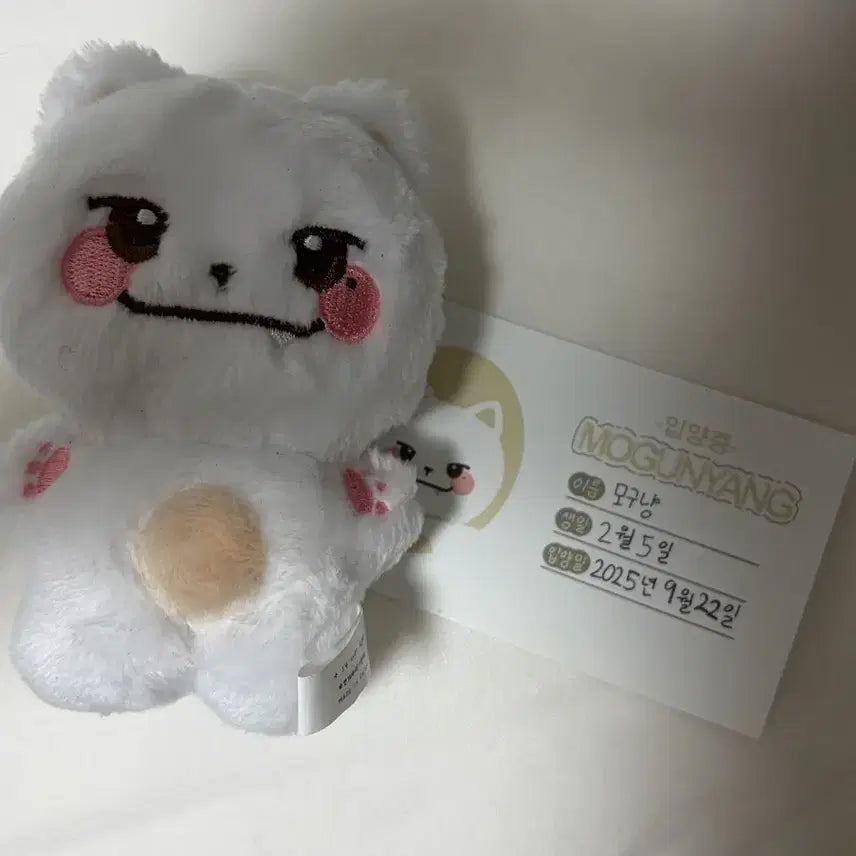 [BUNJANG] CRAVITY Koo Jeongmo Moguyang Plush Doll / 크래비티 구정모 인형 모구냥