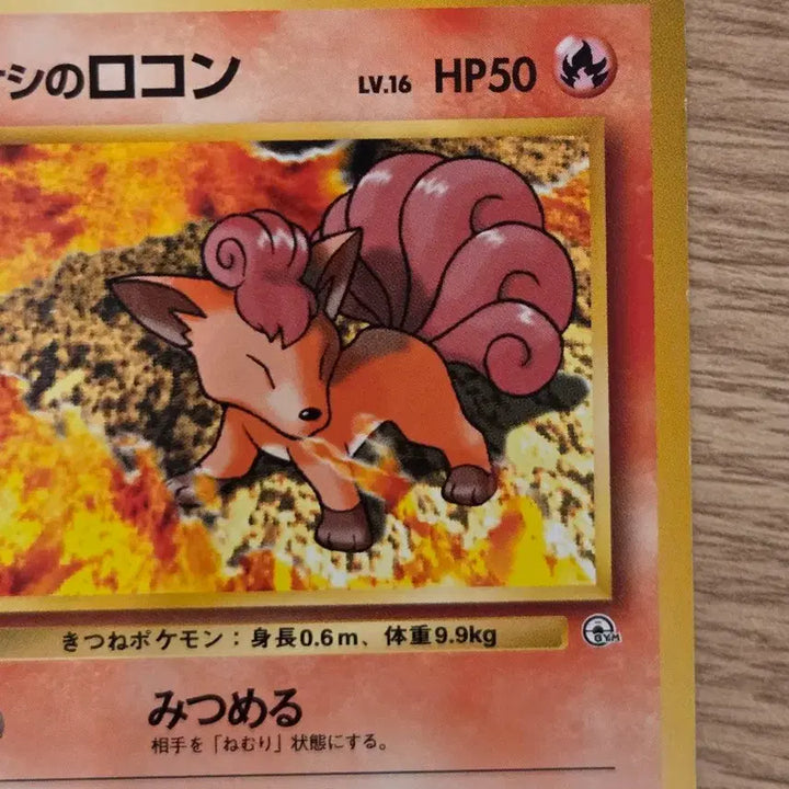 [BUNJANG] Pokemon Card Old Back Vintage Brock&