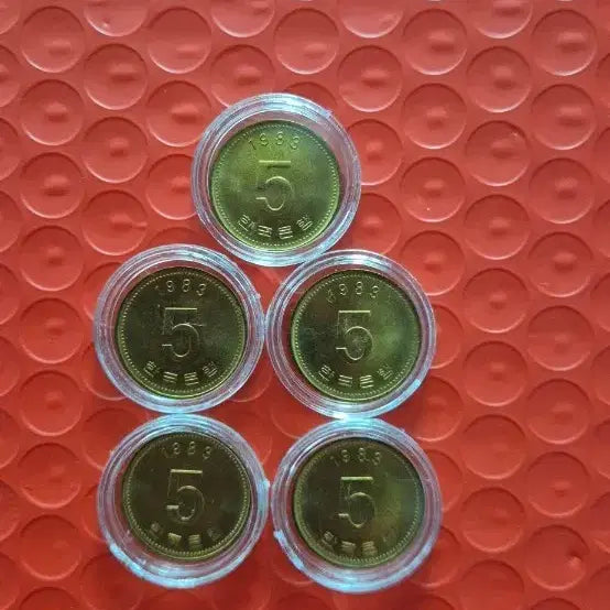 [BUNJANG] 1983 5 Won Coin Bundle (5 pcs) - Unused / 1983년 5원 5개 일괄판매 미사용